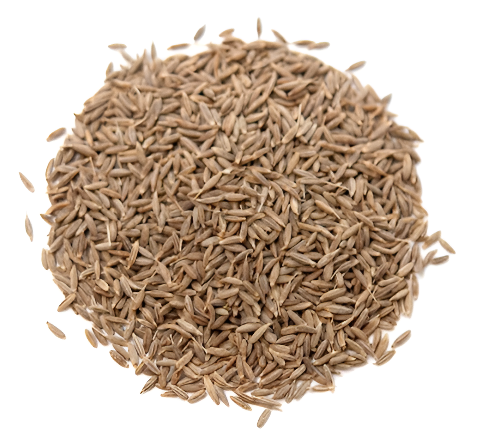 Cumin Seed