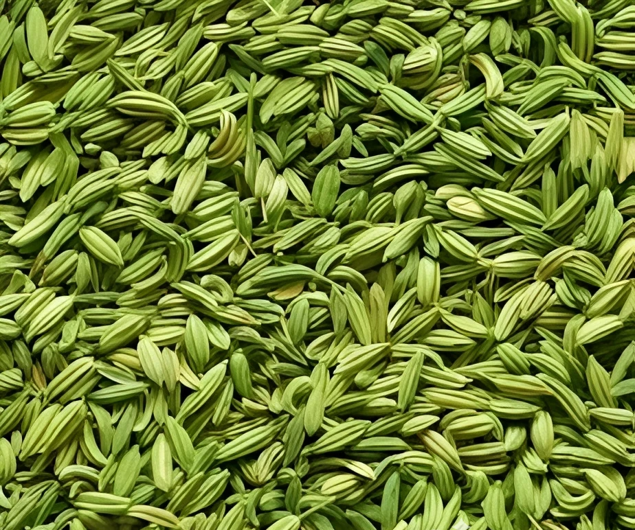 Fennel Seeds