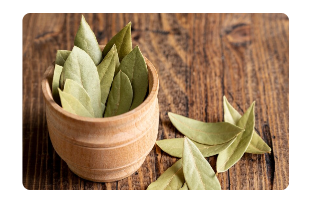 Bay leaf