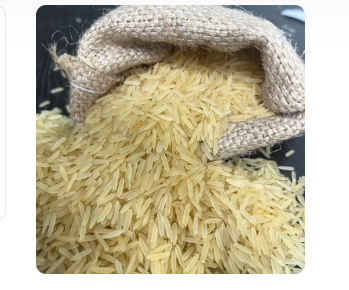 Rice